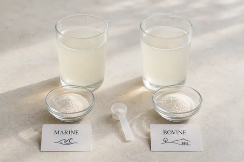 Bovine or Marine Collagen: What's the Difference?