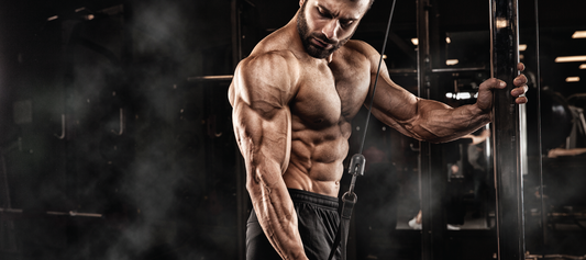 Higher Protein Needs in Bodybuilders?